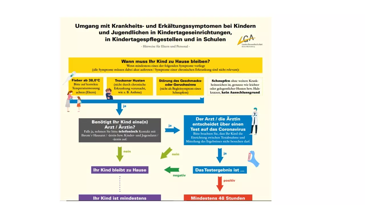 Bild zu 